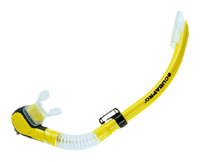 snorkel
